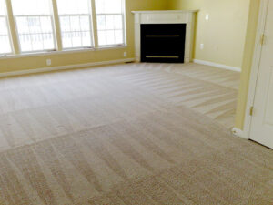 Carpet Cleaning Newcastle and Hunter Valley