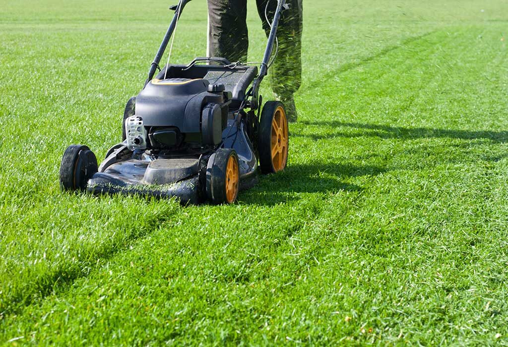 Garden Maintenance and Lawn Mowing