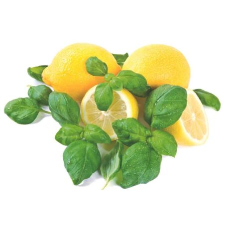 Hyscent Aspirational (W) Lemon & Basil (CTN 6)